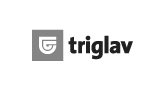 Triglav Insurance