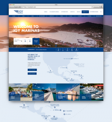 IGY website